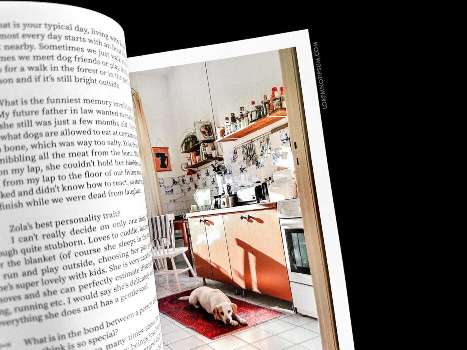 Dog+Human Magazine Issue 3 – loremnotipsum.com