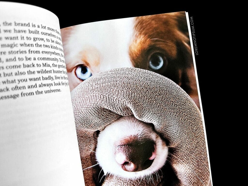 Dog+Human Magazine Issue 3 – loremnotipsum.com
