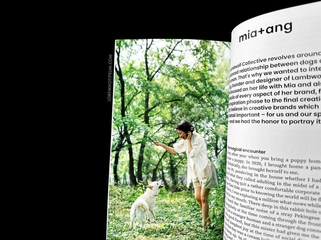 Dog+Human Magazine Issue 3 – loremnotipsum.com