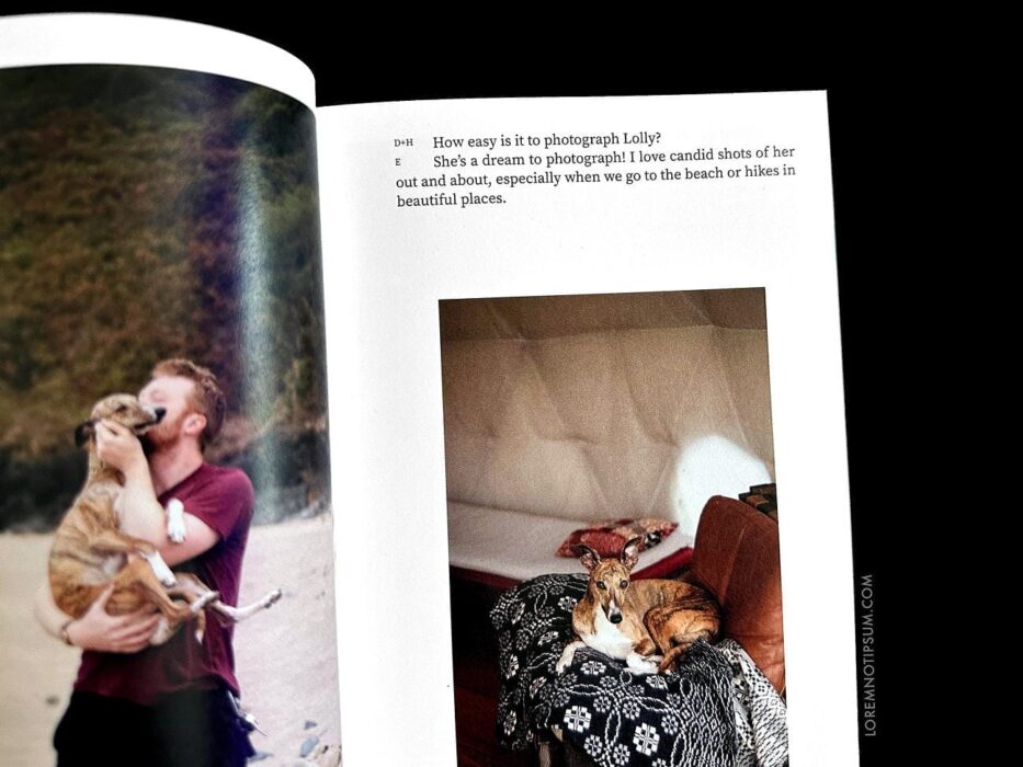 Dog+Human Magazine Issue 3 – loremnotipsum.com