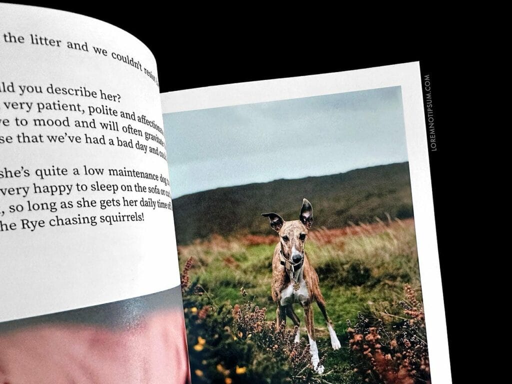 Dog+Human Magazine Issue 3 – loremnotipsum.com