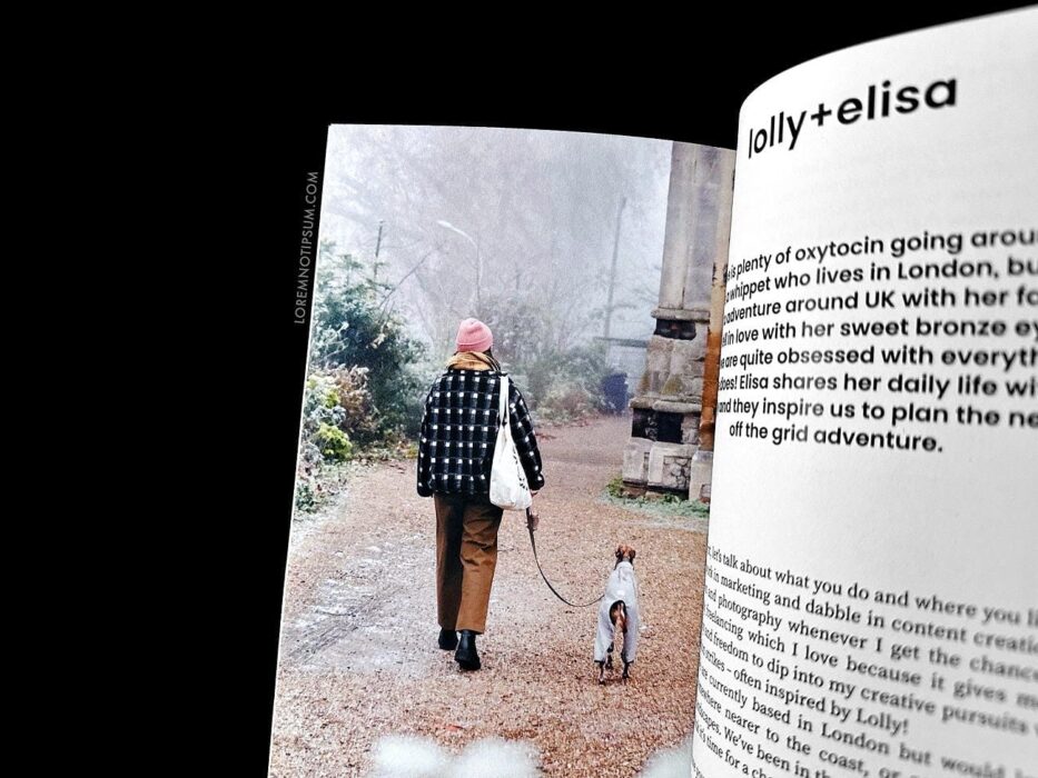 Dog+Human Magazine Issue 3 – loremnotipsum.com