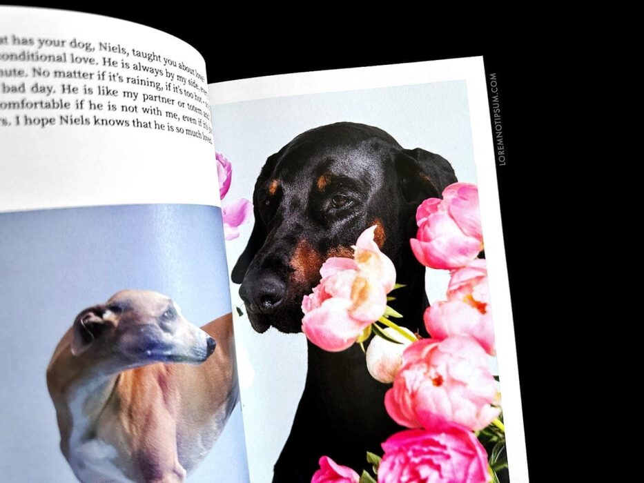 Dog+Human Magazine Issue 3 – loremnotipsum.com