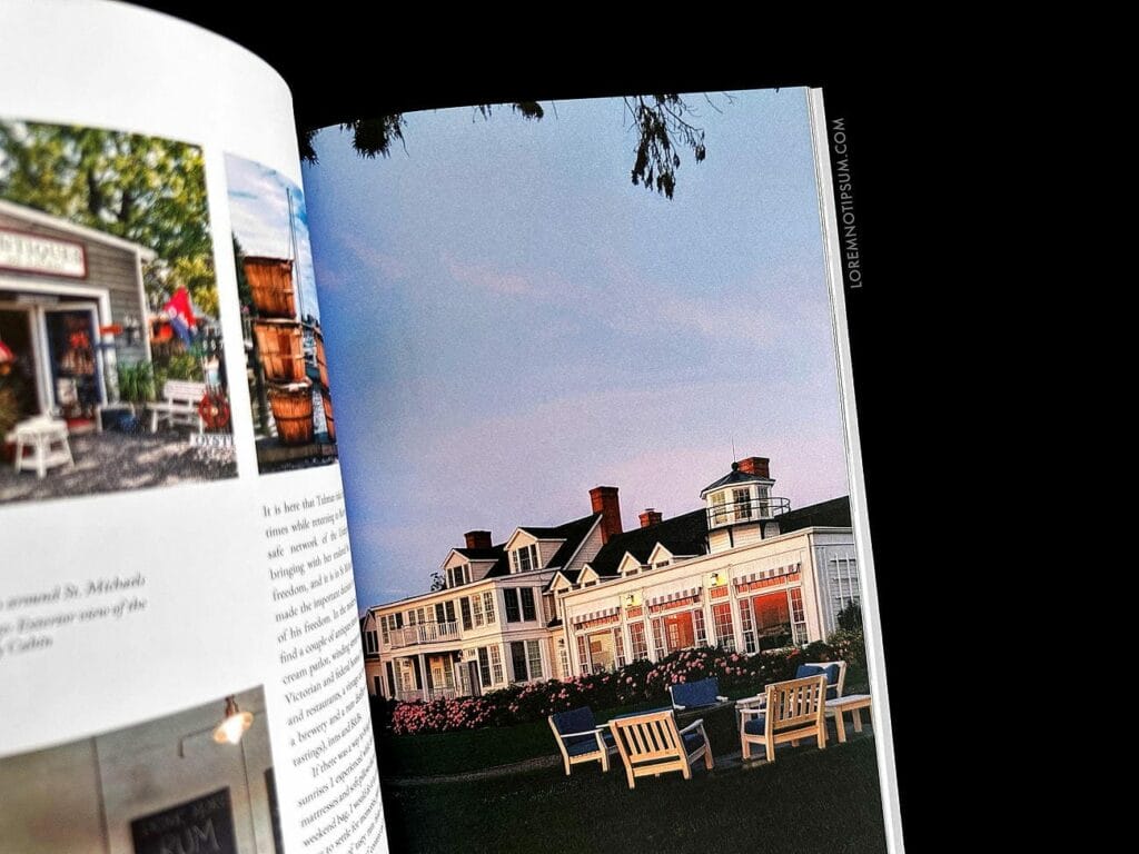 Fieldfare Magazine Issue 3 – loremnotipsum.com
