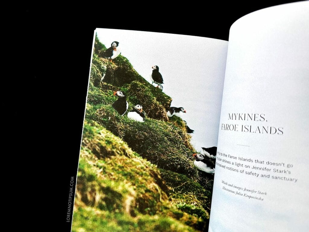 Fieldfare Magazine Issue 3 – loremnotipsum.com
