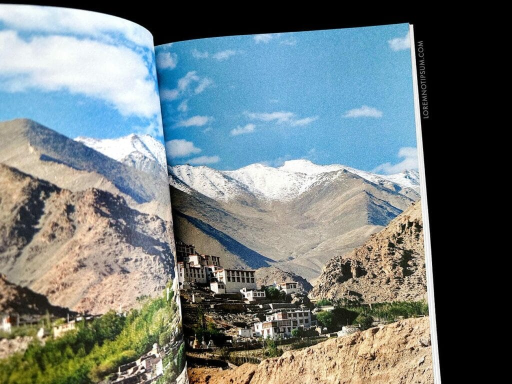 Fieldfare Magazine Issue 3 – loremnotipsum.com