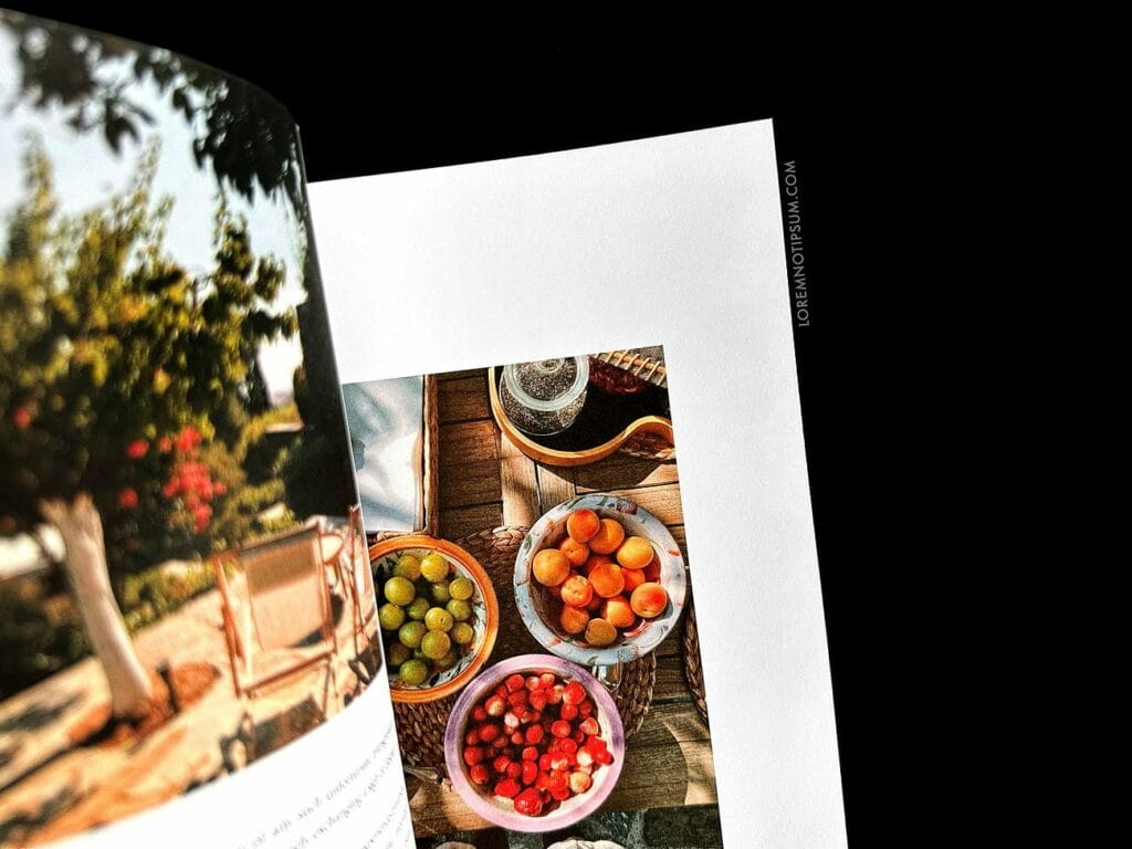 Fieldfare Magazine Issue 3 – loremnotipsum.com