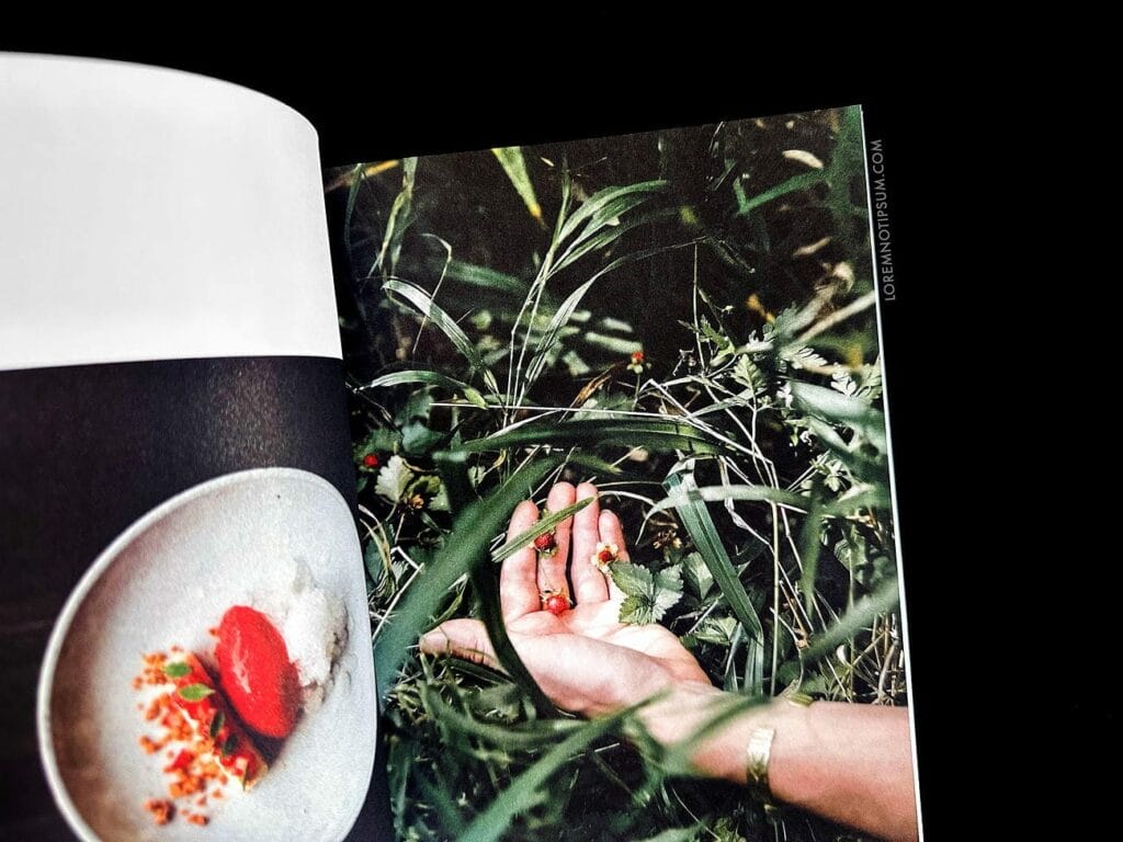 Fieldfare Magazine Issue 3 – loremnotipsum.com