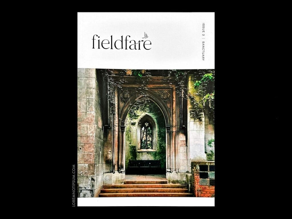 Fieldfare Magazine Issue 3 – loremnotipsum.com