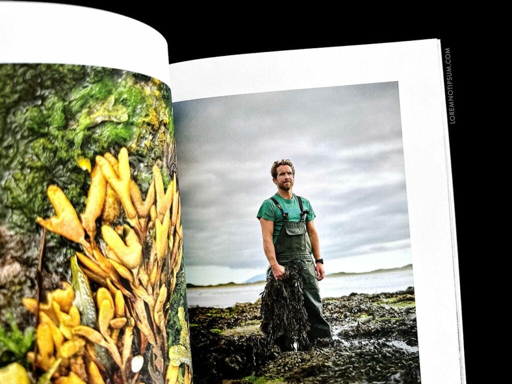 Lodestars Anthology Issue 17 (Ireland) – loremnotipsum.com