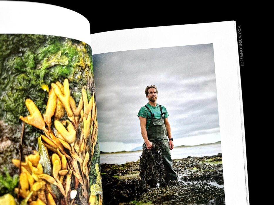 Lodestars Anthology Issue 17 (Ireland) – loremnotipsum.com