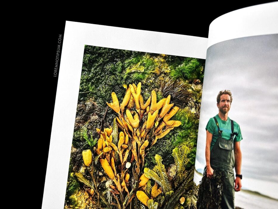 Lodestars Anthology Issue 17 (Ireland) – loremnotipsum.com