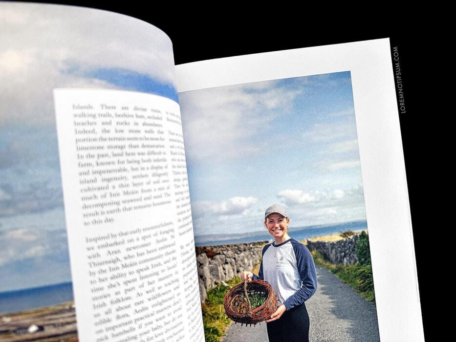 Lodestars Anthology Issue 17 (Ireland) – loremnotipsum.com
