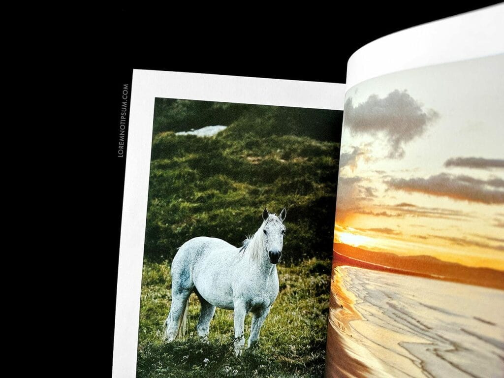Lodestars Anthology Issue 17 (Ireland) – loremnotipsum.com