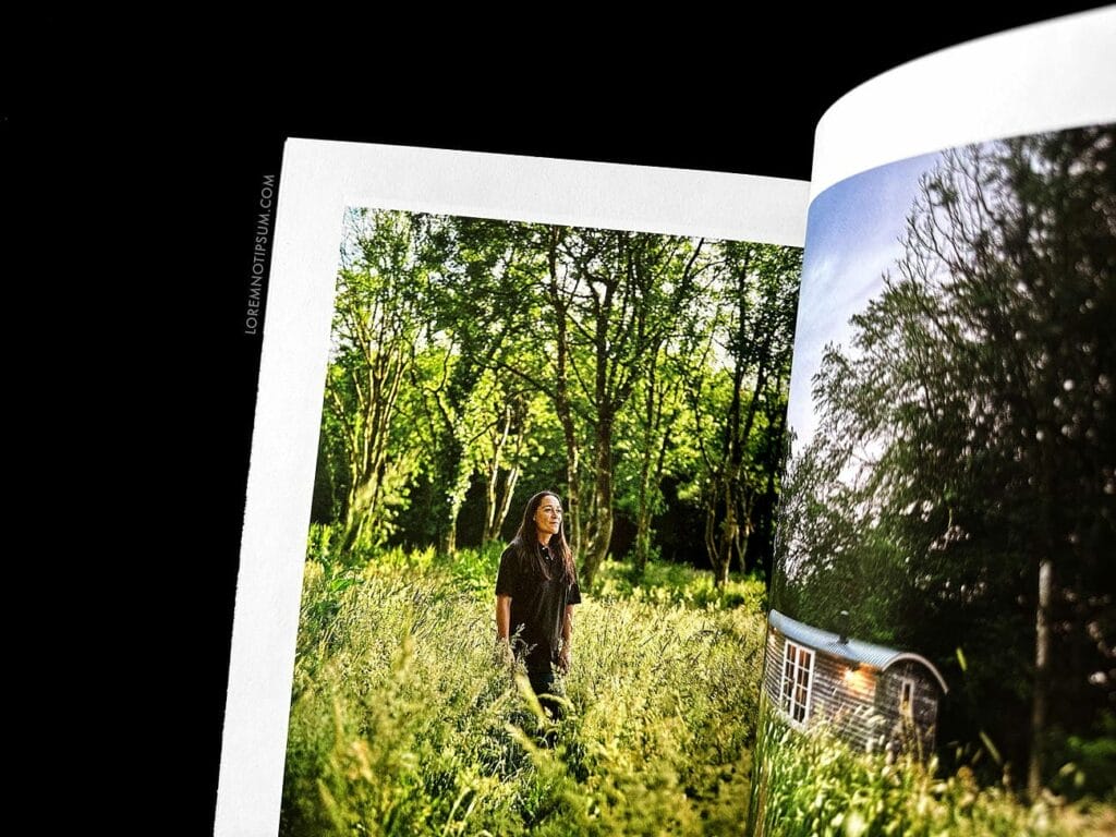 Lodestars Anthology Issue 17 (Ireland) – loremnotipsum.com