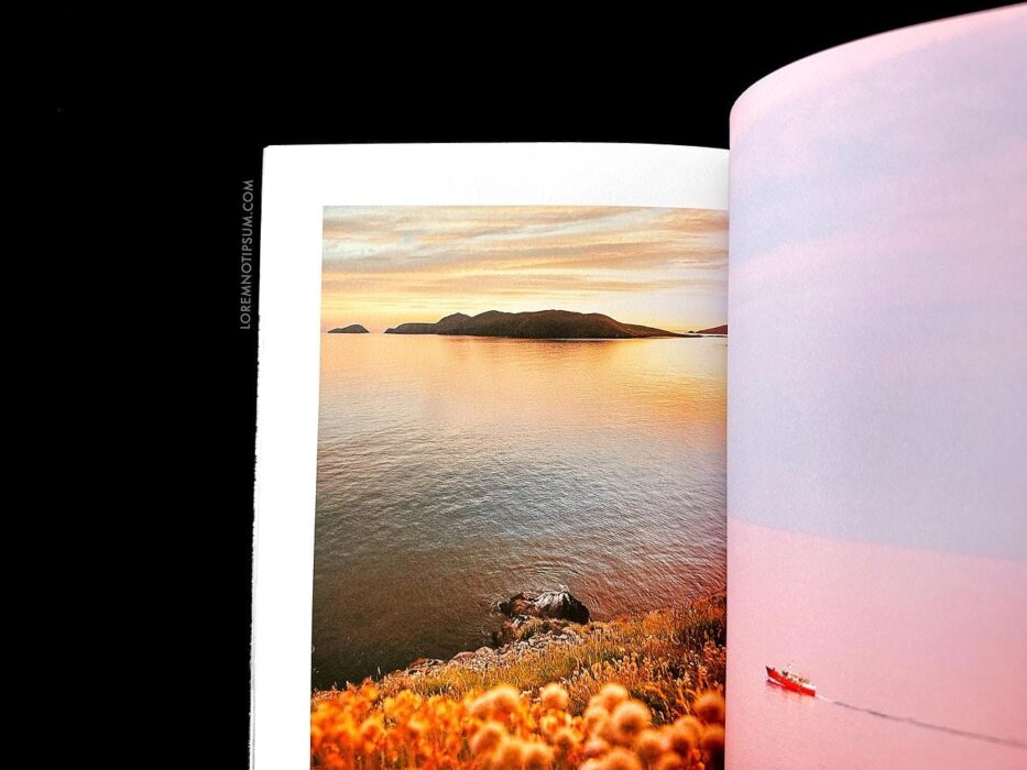 Lodestars Anthology Issue 17 (Ireland) – loremnotipsum.com