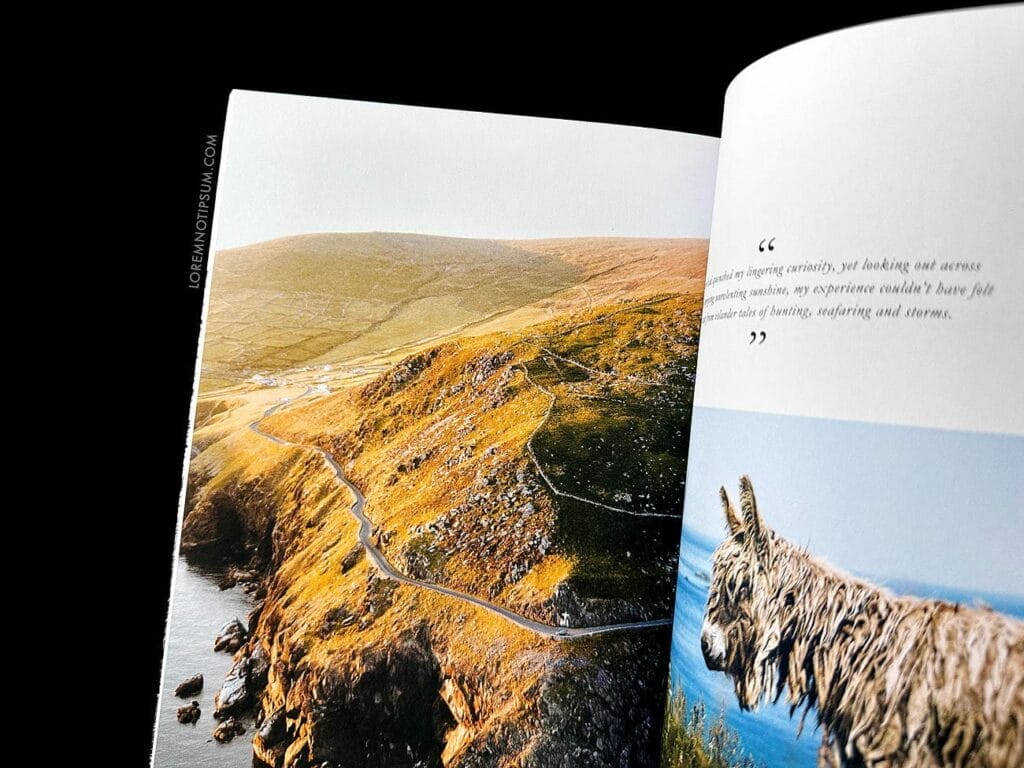 Lodestars Anthology Issue 17 (Ireland) – loremnotipsum.com