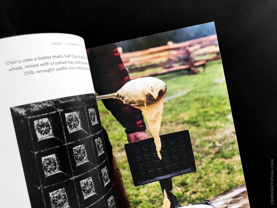 Fare Magazine Issue 3 (Charleston) – loremnotipsum.com