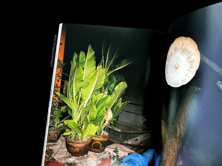 MATTO Magazine Issue 6 – loremnotipsum.com