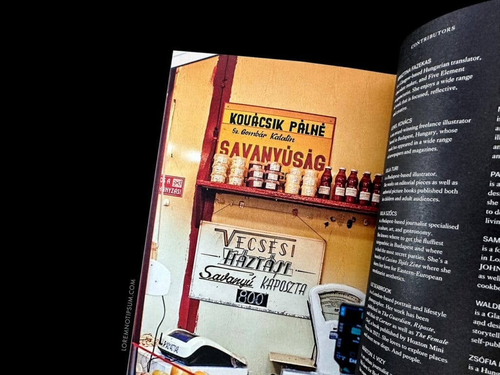 Fare Magazine Issue 13 (Budapest) – loremnotipsum.com