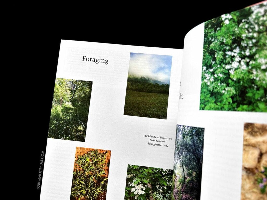 Journal du Thé (Chapter 4) – loremnotipsum.com