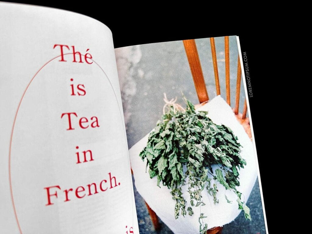 Journal du Thé (Chapter 4) – loremnotipsum.com