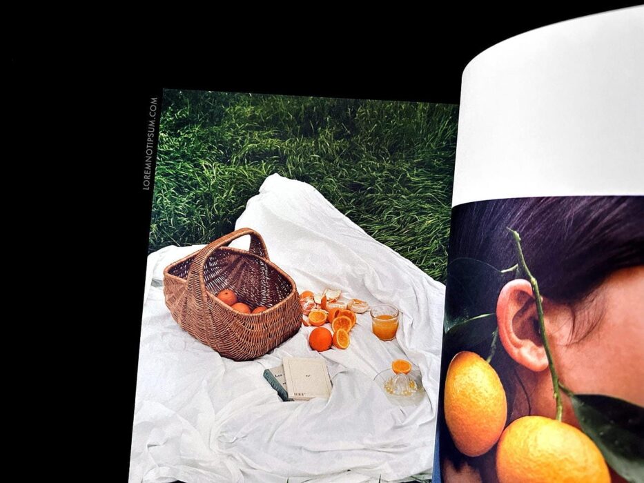 Blumenhaus Magazine Issue 4 – loremnotipsum.com