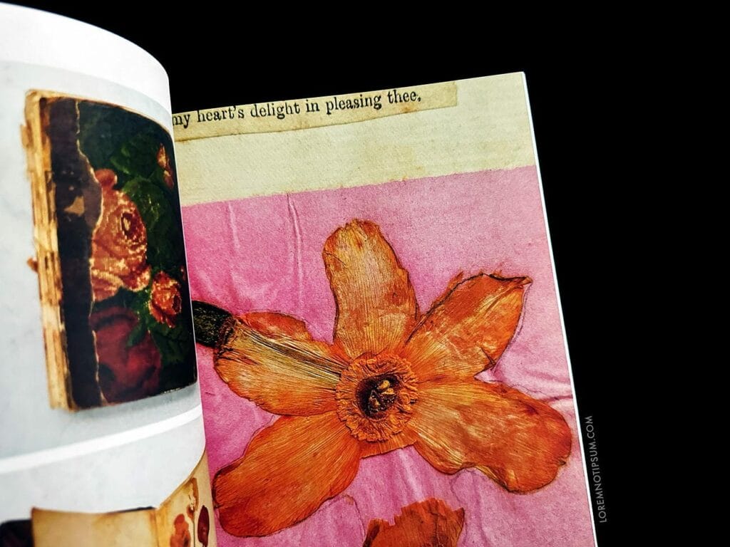 Blumenhaus Magazine Issue 4 – loremnotipsum.com