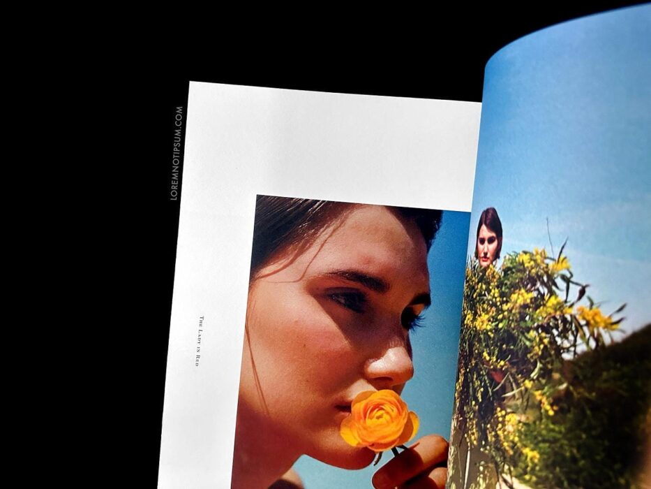 Blumenhaus Magazine Issue 4 – loremnotipsum.com