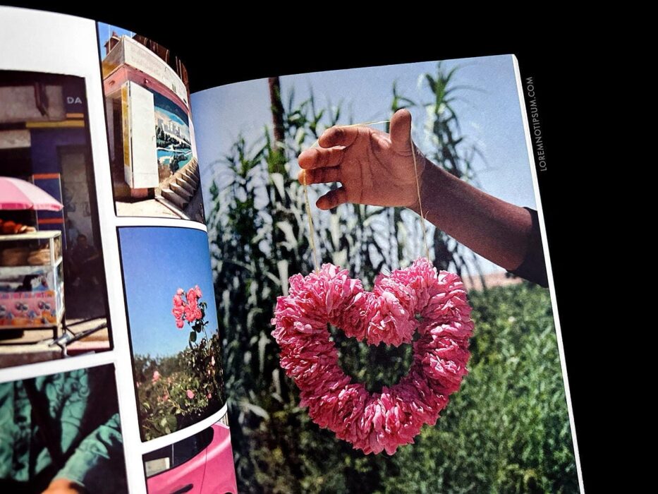 Blumenhaus Magazine Issue 4 – loremnotipsum.com