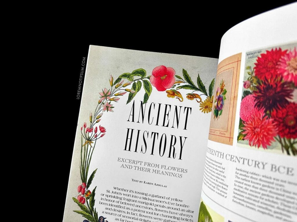 Blumenhaus Magazine Issue 4 – loremnotipsum.com