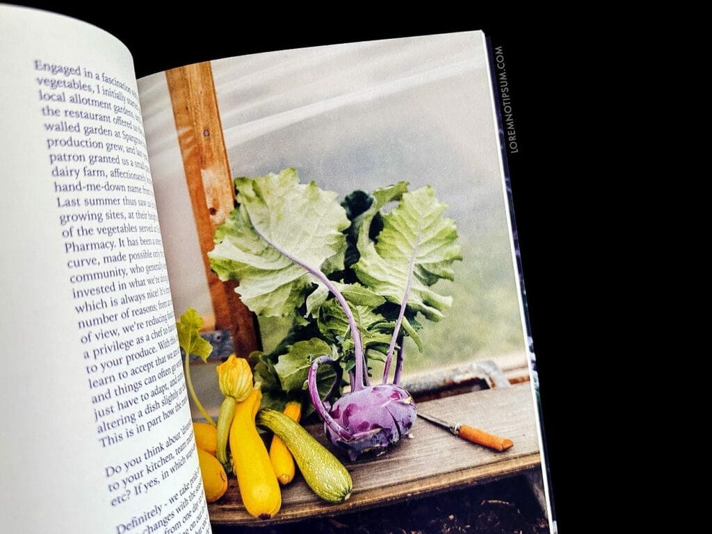 The Preserve Journal Issue 9 – loremnotipsum.com