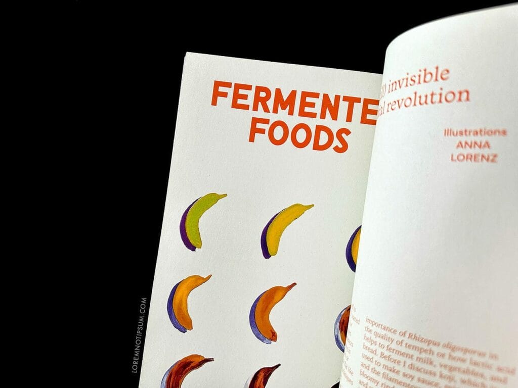 The Preserve Journal Issue 9 – loremnotipsum.com
