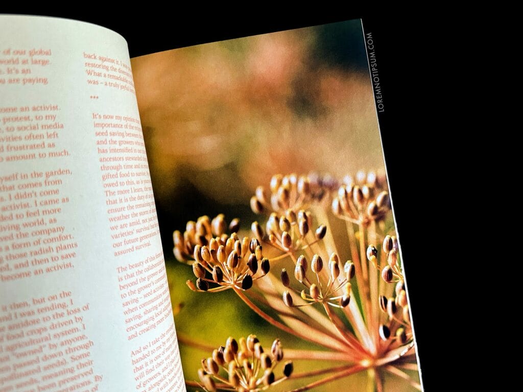 The Preserve Journal Issue 9 – loremnotipsum.com