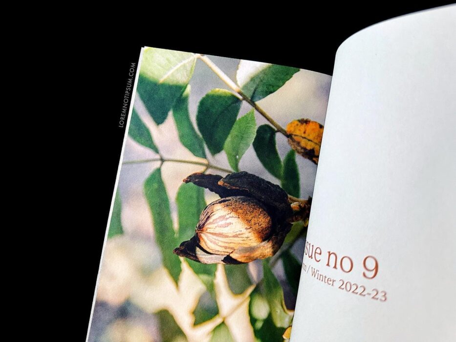 The Preserve Journal Issue 9 – loremnotipsum.com