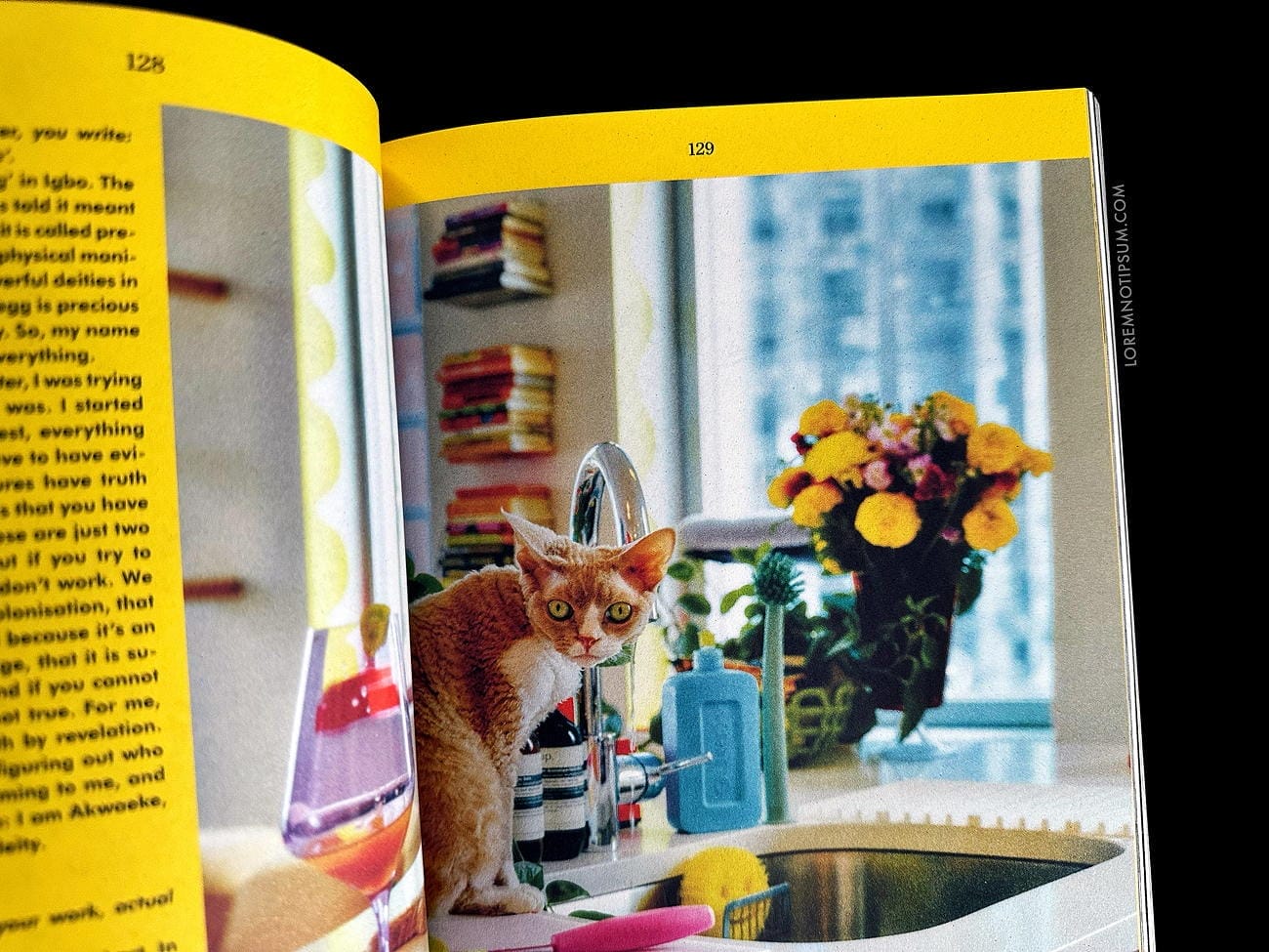 洋書 APARTAMENTO ISSUE #32 Apartamento - Issue #32