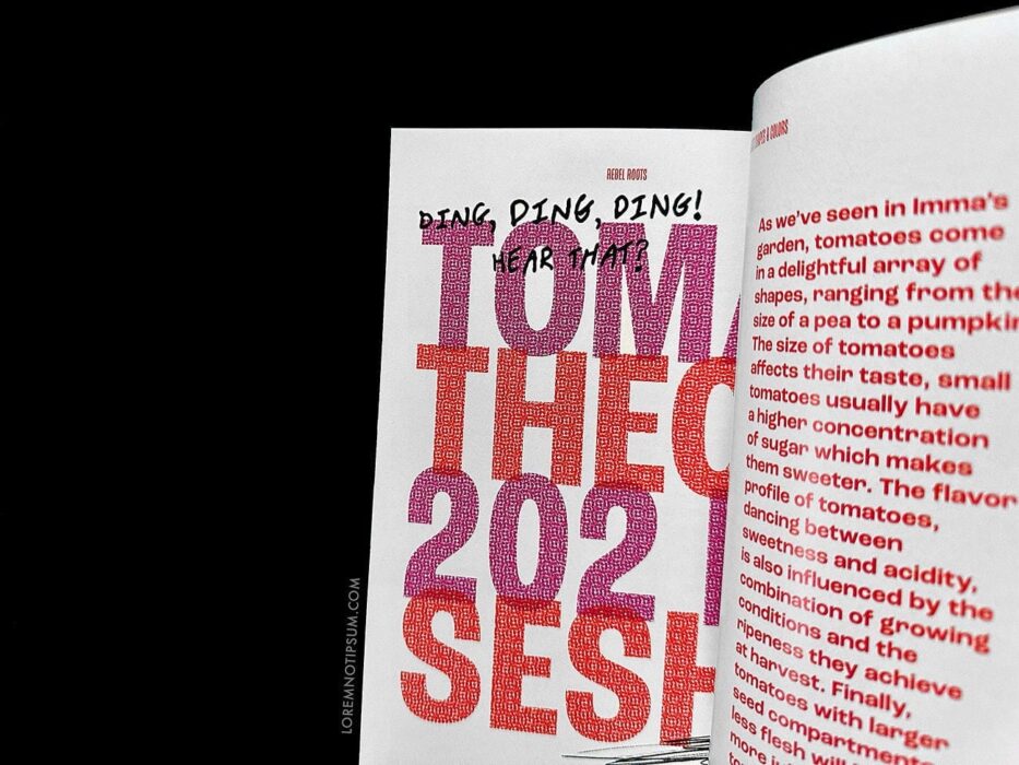 Rebel Roots Magazine Issue 1 – loremnotipsum.com