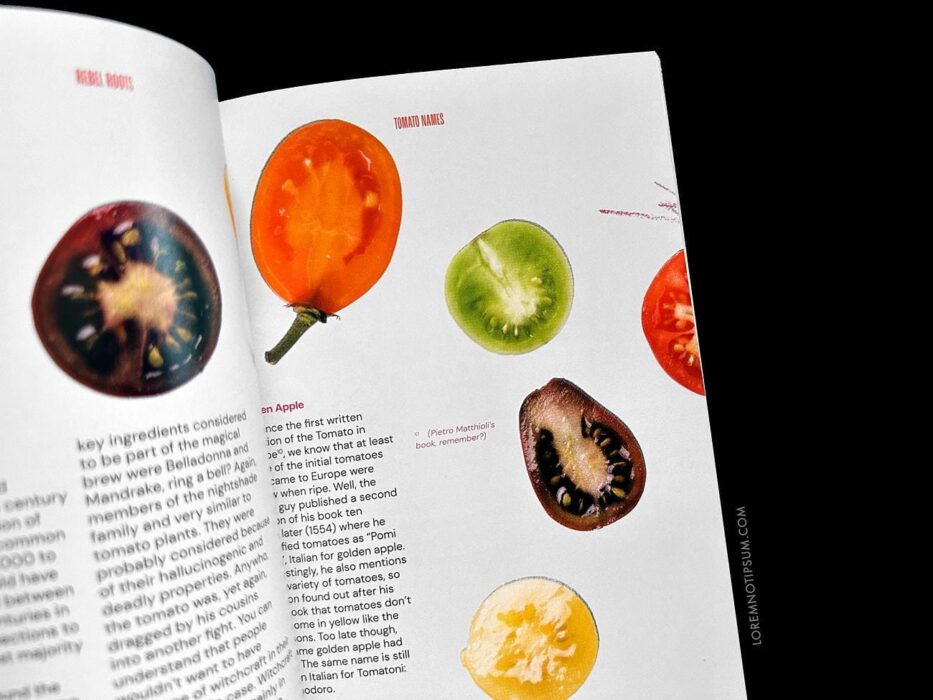 Rebel Roots Magazine Issue 1 – loremnotipsum.com