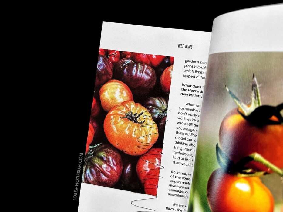 Rebel Roots Magazine Issue 1 – loremnotipsum.com