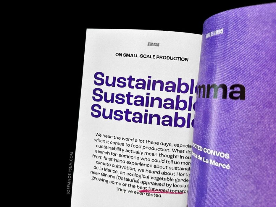 Rebel Roots Magazine Issue 1 – loremnotipsum.com
