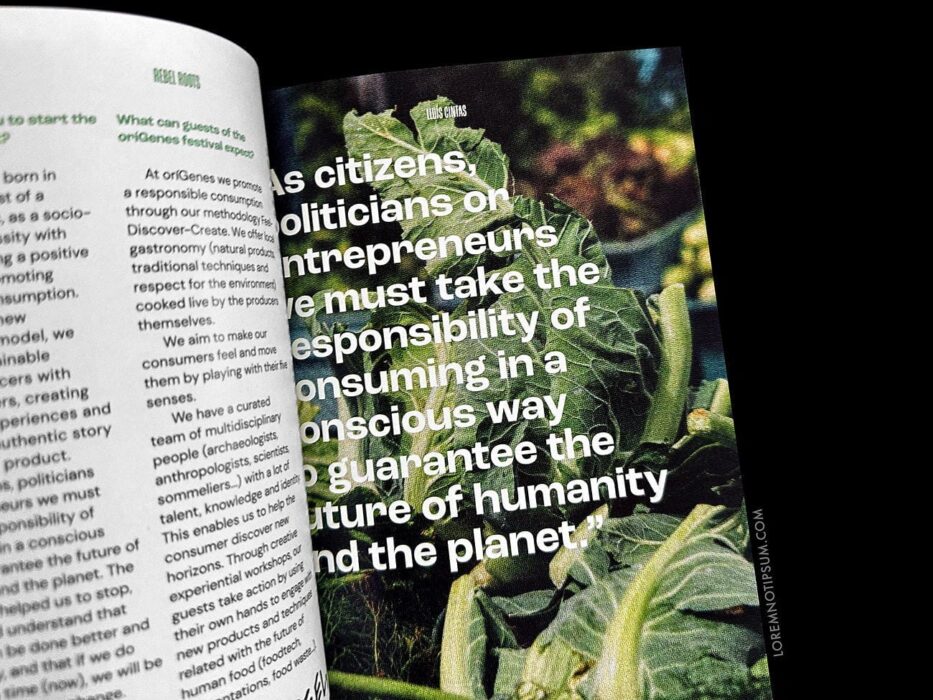 Rebel Roots Magazine Issue 1 – loremnotipsum.com