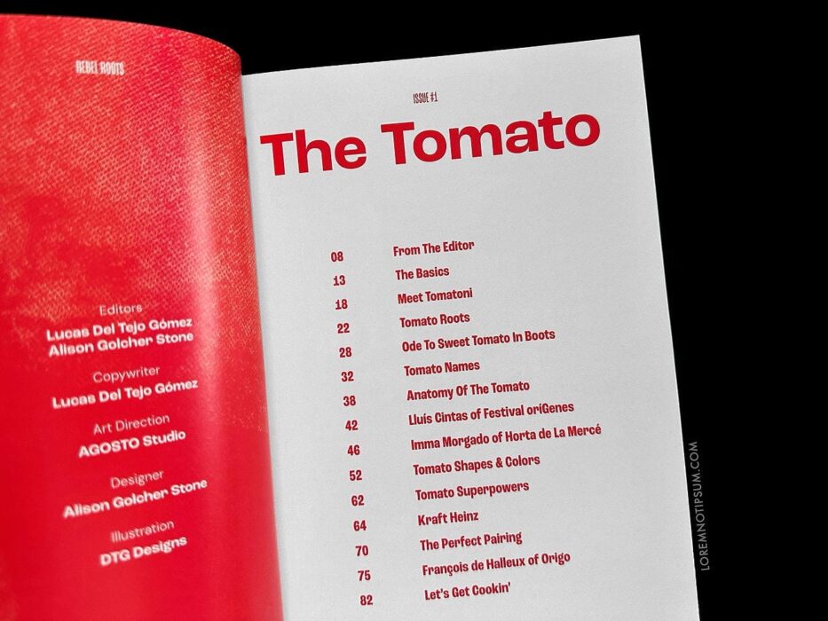 Rebel Roots Magazine Issue 1 – loremnotipsum.com