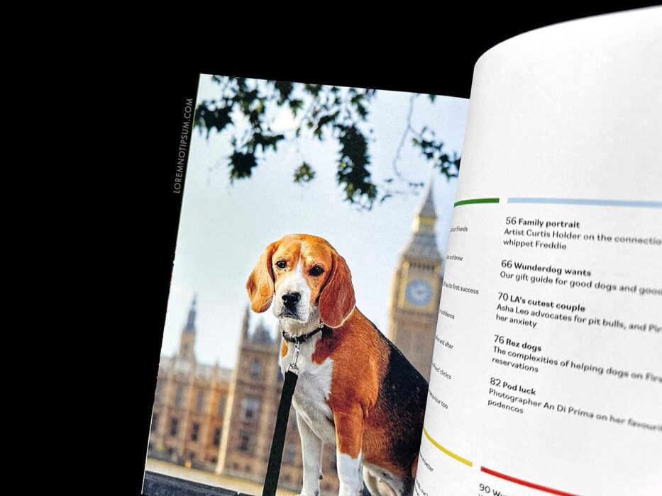 Wunderdog Magazine Issue 8 – loremnotipsum.com