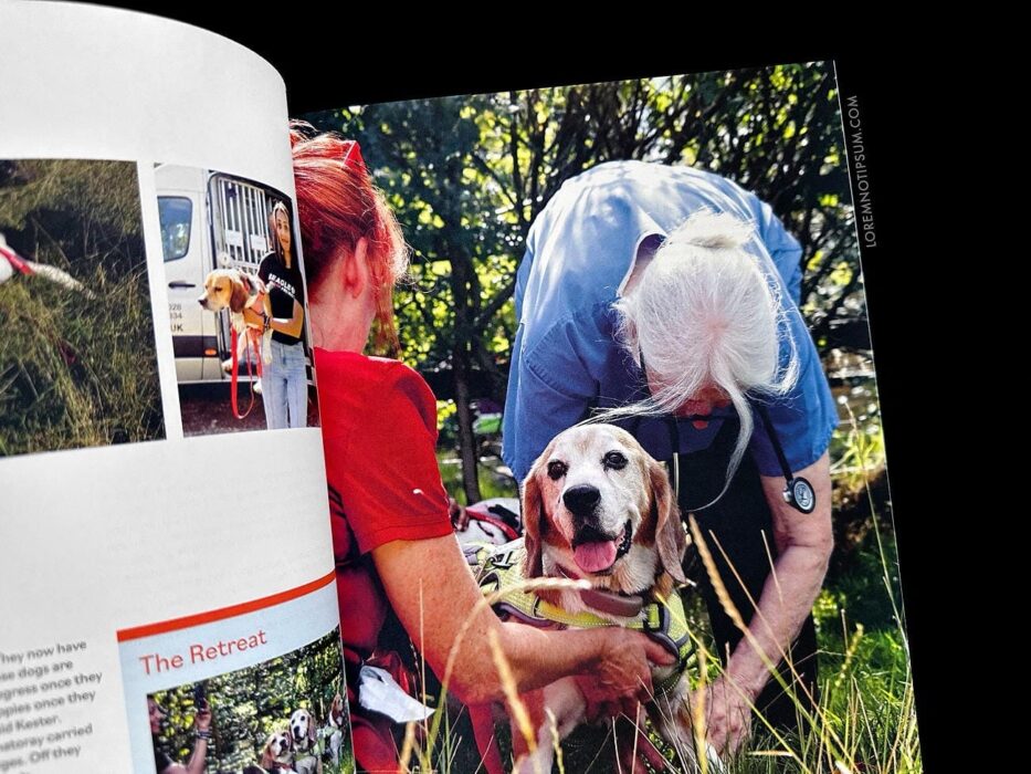 Wunderdog Magazine Issue 8 – loremnotipsum.com