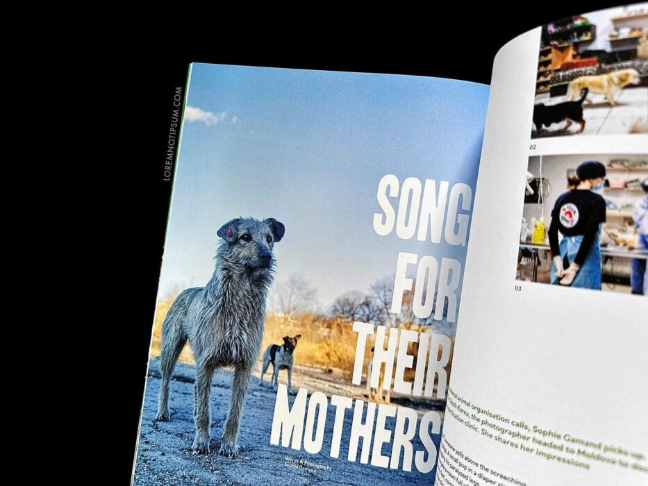 Wunderdog Magazine Issue 8 – loremnotipsum.com