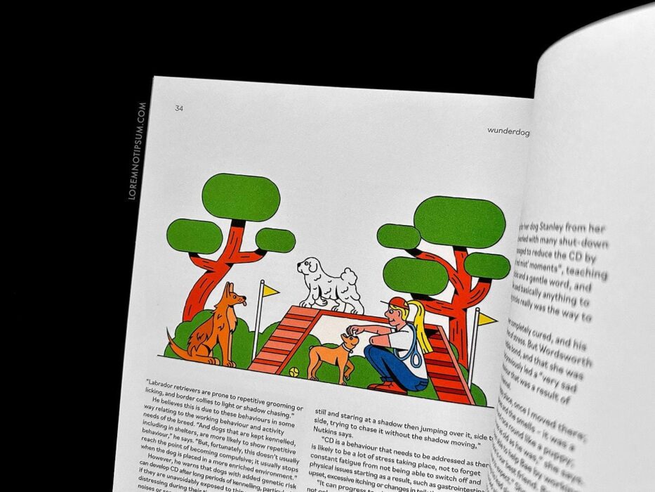 Wunderdog Magazine Issue 8 – loremnotipsum.com