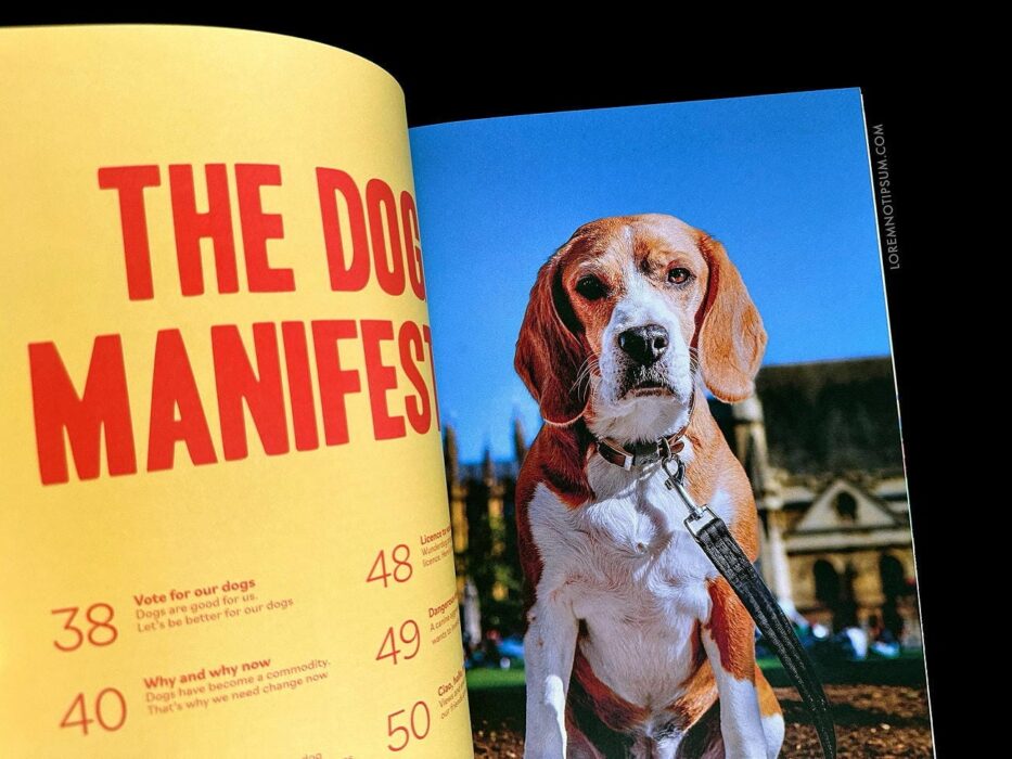 Wunderdog Magazine Issue 8 – loremnotipsum.com
