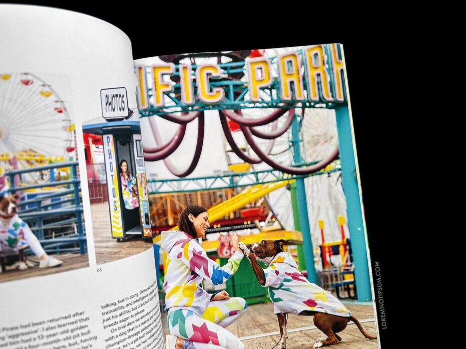 Wunderdog Magazine Issue 8 – loremnotipsum.com