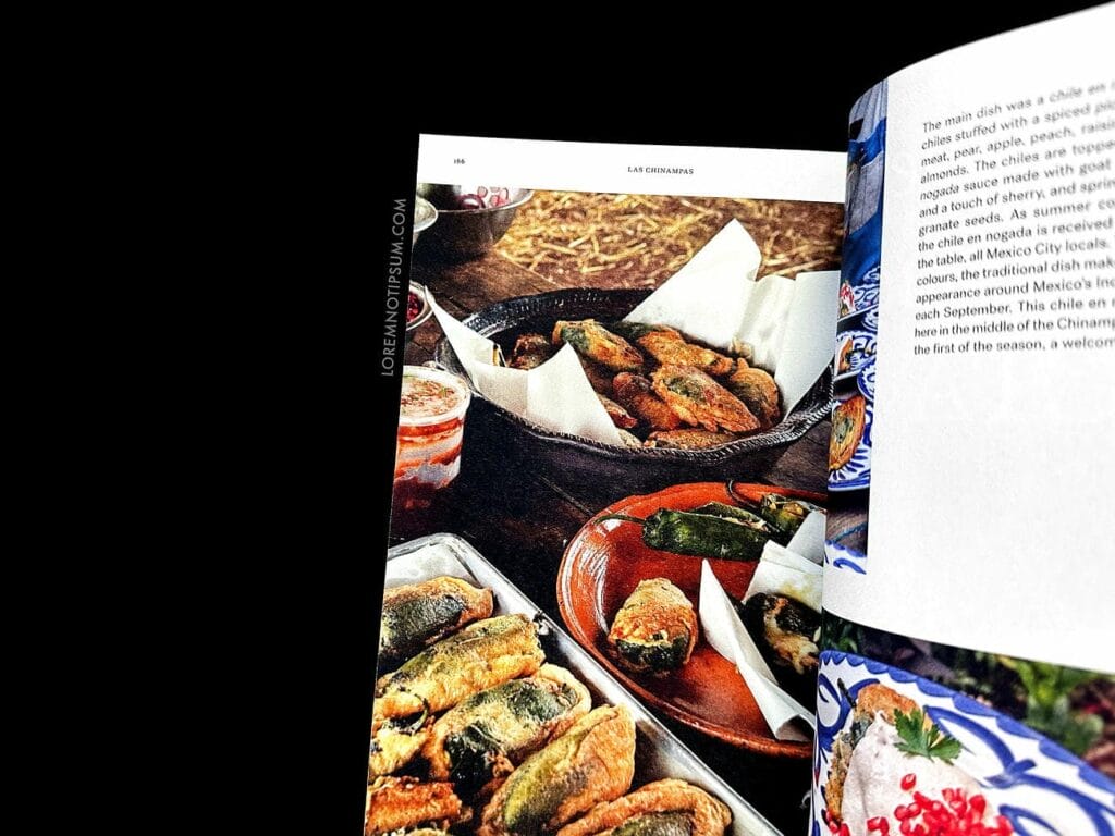 Fare Magazine Issue 14 (Mexico City) – loremnotipsum.com
