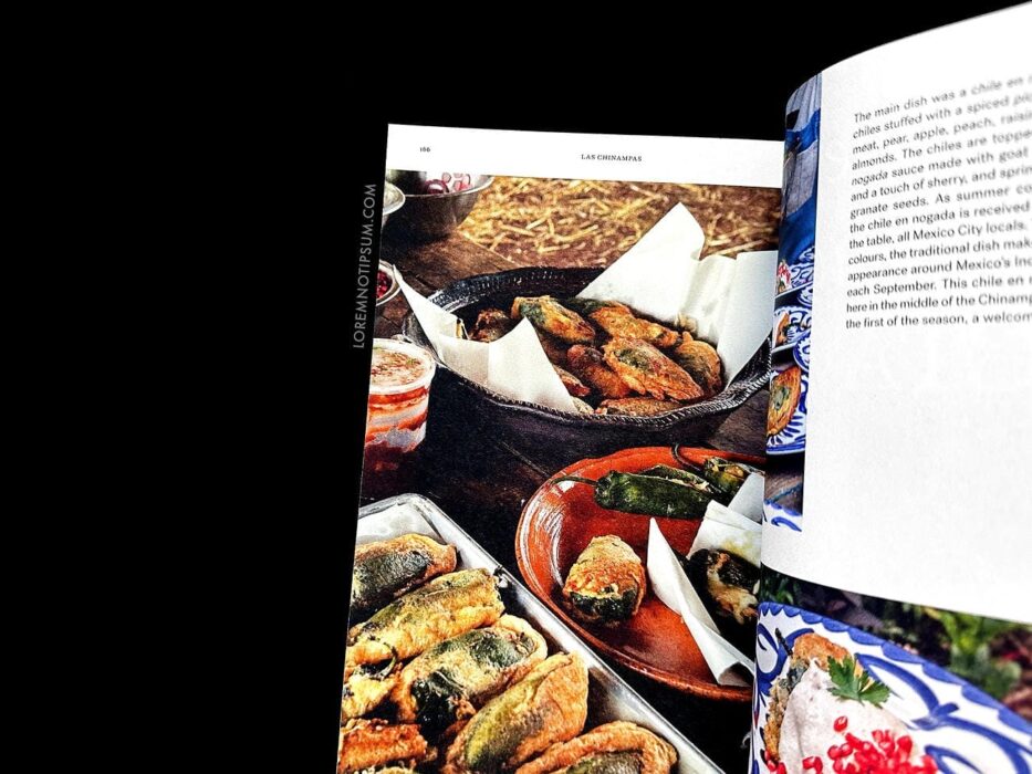 Fare Magazine Issue 14 (Mexico City) – loremnotipsum.com